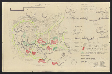 Plan, Water Garden & Grassy woodland, 1987-1995