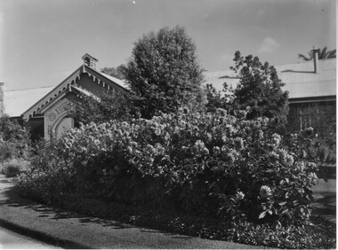 Photograph - Black and white print, Dahlias in Front of Pavilion, Unknown