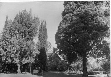 Photograph - Black and white print, Principal's House, 1919