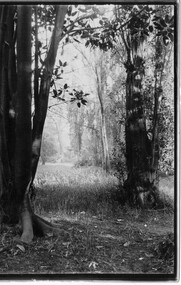 Photograph - Black and white print, Excursion, Unknown