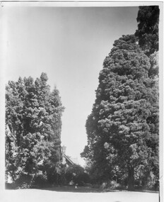 Photograph - Black and white print, Principal's Residence