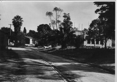Photograph - Black and white print, Administration Building Under Construction, 1946-1947
