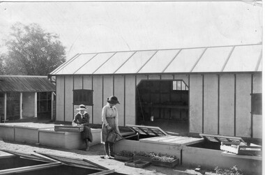 Photograph - Black and white print, Noelle Kendall (Vaughan), Potting Shed and Planting Frames May 1918, 1918