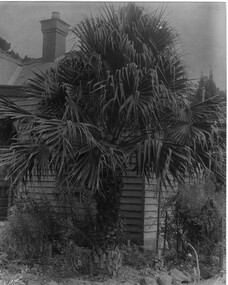Photograph - Black and white print, The Sear's Studios, Principal's Residence, 1913