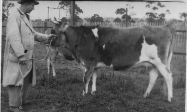 Photograph - Black and white print, Dept pf Agriculture, Victoria, Victoria Fire Flame, Unknown