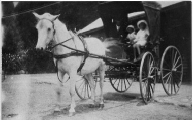 Photograph - Black and white print, J. McLennan and Children in Buggy, 1918