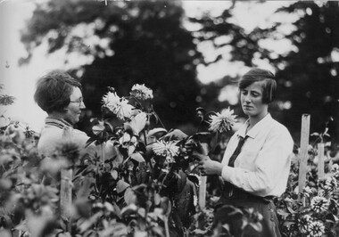 Photograph - Black and white print, The Sun News - Pictorial, Students Examining Dahlias, 1929