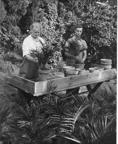 Photograph - Black and white print, Students Potting Palms, May 1917 School of Horticulture Burnley, 1917