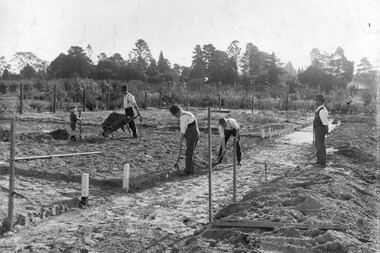 Photograph - Black and white print, Noelle Kendall (Vaughan), Reconstructing the Vegetable Garden May 1918, 1918