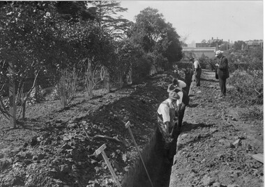 Photograph - Black and white print, Draining Cherry Block Oct 1919, 1919