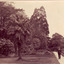 The University of Melbourne Burnley Campus Archives