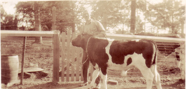 Photograph - Sepia print, E. Chalmers, Hudson at Bull Paddock 1926, 1926
