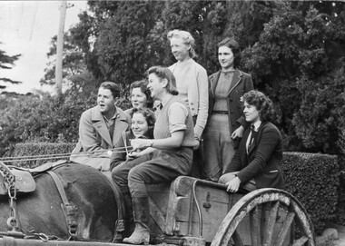 Photograph - Black and white print, Steven Henty, Students on Horse Drawn Cart, 1940