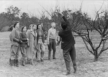 Photograph - Black and white print, Steven Henty, Students Watching Pruning Demonstration, 1940