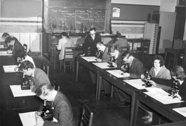 Photograph - Black and white print, Information Branch, Victorian Department of Agriculture, Students Using Microscopes, 1962-1967