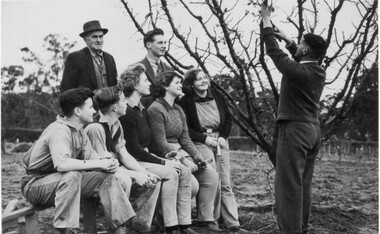 Photograph - Black and white print, Students Watching Pruning Demonstration, c. 1943