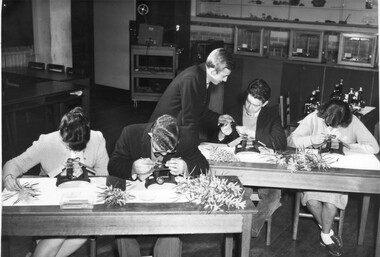 Photograph - Black and white print, Students in Botany Class, 1961-1962