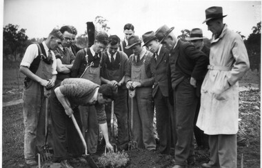 Photograph - Black and white print, The Leader, Planting Demonstration, c. 1938