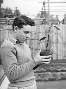 Photograph - Black and white print, Student at Burnley Gardens, c. 1950