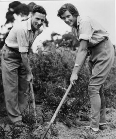 Photograph - Black and white print, Students Working in Field Station, c. 1950