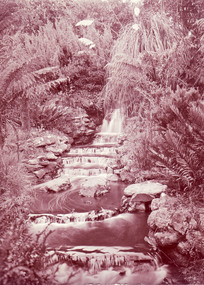 Photograph - Black and white or sepia print, Waterfall