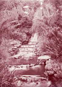 Photograph - Black and white or sepia print, Waterfall, Unknown