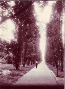 Photograph - Black and white or sepia print, Fitzroy Gardens, Unknown