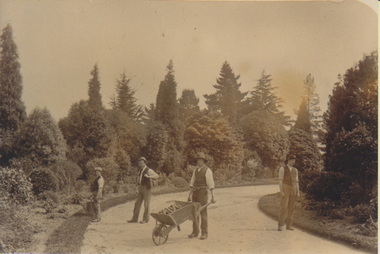 Photograph - Black and white print, Burnley Gardens 1890's, c. 1890