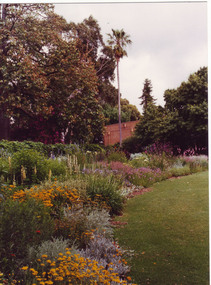 Photograph - Colour print, The Herbaceous Border-Burnley Gardens 1991, 1991