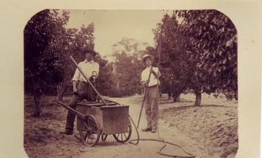 Photograph - Black and white print, A.E. Bennett, The Orchard Area at Burnley Gardens 1891-4, 1891-1894