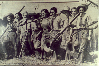 Photograph - Colour print, The Herald, The Harvest of Oats is Finished at the Burnley School of Horticulture and Primary Agriculture, 1935-1990