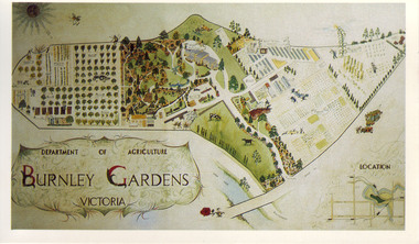 Slide - Colour slide, Milton Gellert, Department of Agriculture Burnley Gardens Victoria, 1955-1990