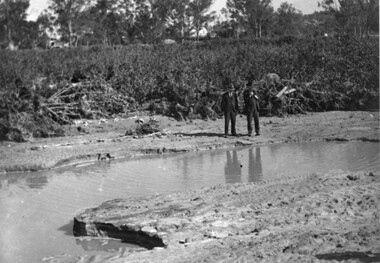 Photograph - Black and white print, Flood in Orchard, 1934