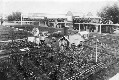 Photograph - Black and white print, Model Farm at Showgrounds, 1910-1920