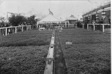Photograph - Black and white print, Model Farm at Showgrounds, 1910-1920