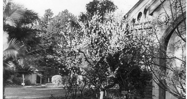 Photograph - Black and white print, View Across Lawn to Summer House, 1942-1946