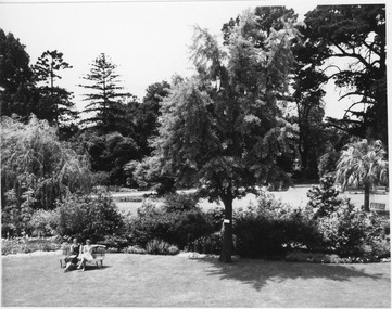 Photograph - Black and white print, Publicity Branch Victorian Department of Agriculture, Students Seated Near Emily Gibson Beds, 1960