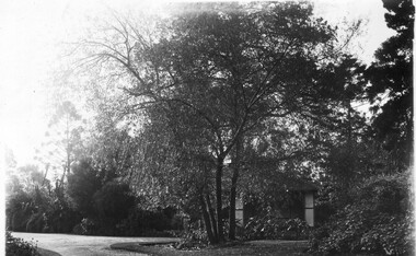 Photograph - Black and white print, Summer House