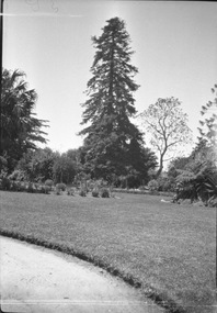 Negative - Black and white negative, Garden View, 1922-1923