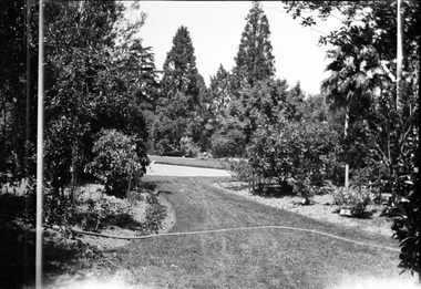 Negative - Black and white negative, Garden View, 1922-1923