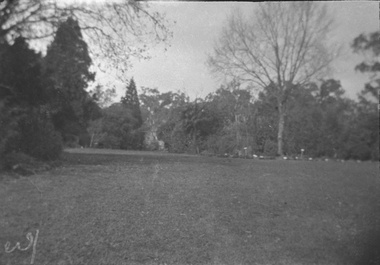 Negative - Black and white negative, Garden View, 1922-1923