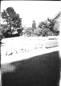 Photograph - Black and white negative, Garden View, 1922-1923