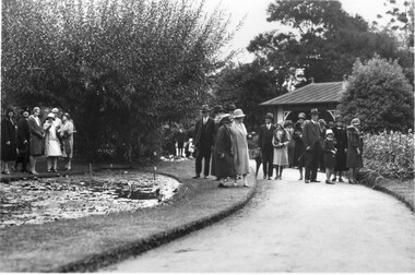 Photograph - Black and white print, The Argus, R.H.S. Meeting, Burnley Gardens, 1930