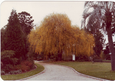 Photograph - Colour print, View of Ponds and Summer House, c. 1990