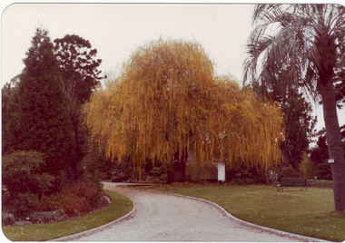 Photograph - Colour print, Claire Pitts, View of Ponds and Summer House, c. 1990