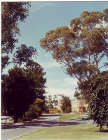 Photograph - Colour print, Claire Pitts, View Along Drive Towards Administration Building, 1981-1990