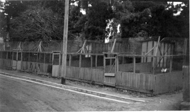 Photograph - Black and white print, Old Poultry Pens, 1941