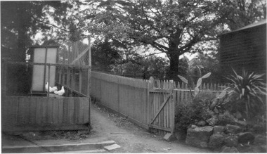 Photograph - Black and white print, Poultry in Old Pens, 1941