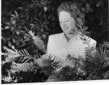 Photograph - Black and white print, Publicity Branch Victorian Department of Agriculture, Judy Serjeant With Callistemon, C 1956
