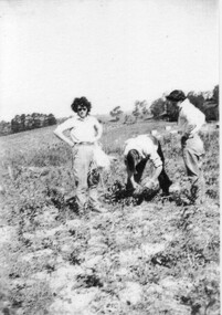 Photograph - Black and white print, Budding Mornington Peninsula 1947 C.R.T.S. Students, 1947
